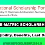 NSP Pre-matric Scholarship 2024