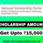 NSP Scholarship Amount 2024