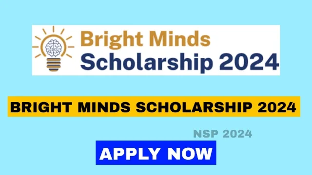 Bright Minds Scholarship 2024